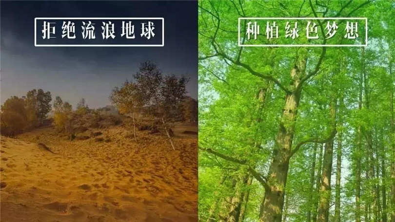 拒絕流浪地球，種植綠色希望